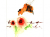 bee
