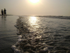 dipanwita0011