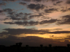 dipanwita0018